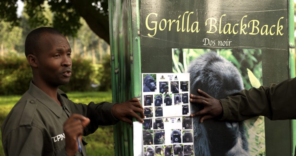 10 Days Rwanda Educational Tour