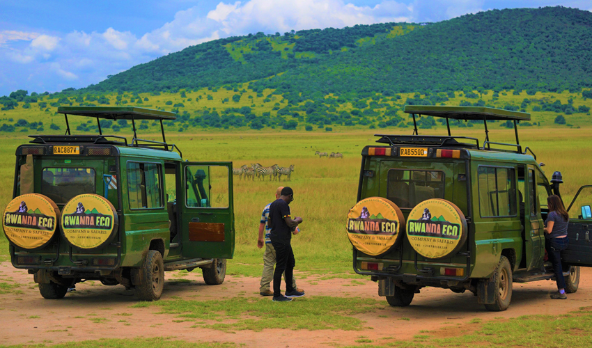 12 Days Best of Uganda Wildlife Safaris