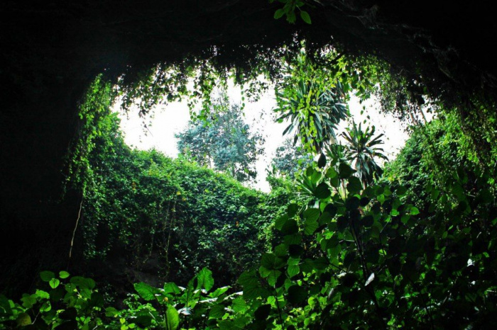 Entering the Musanze Caves at the foot of the volcanoes