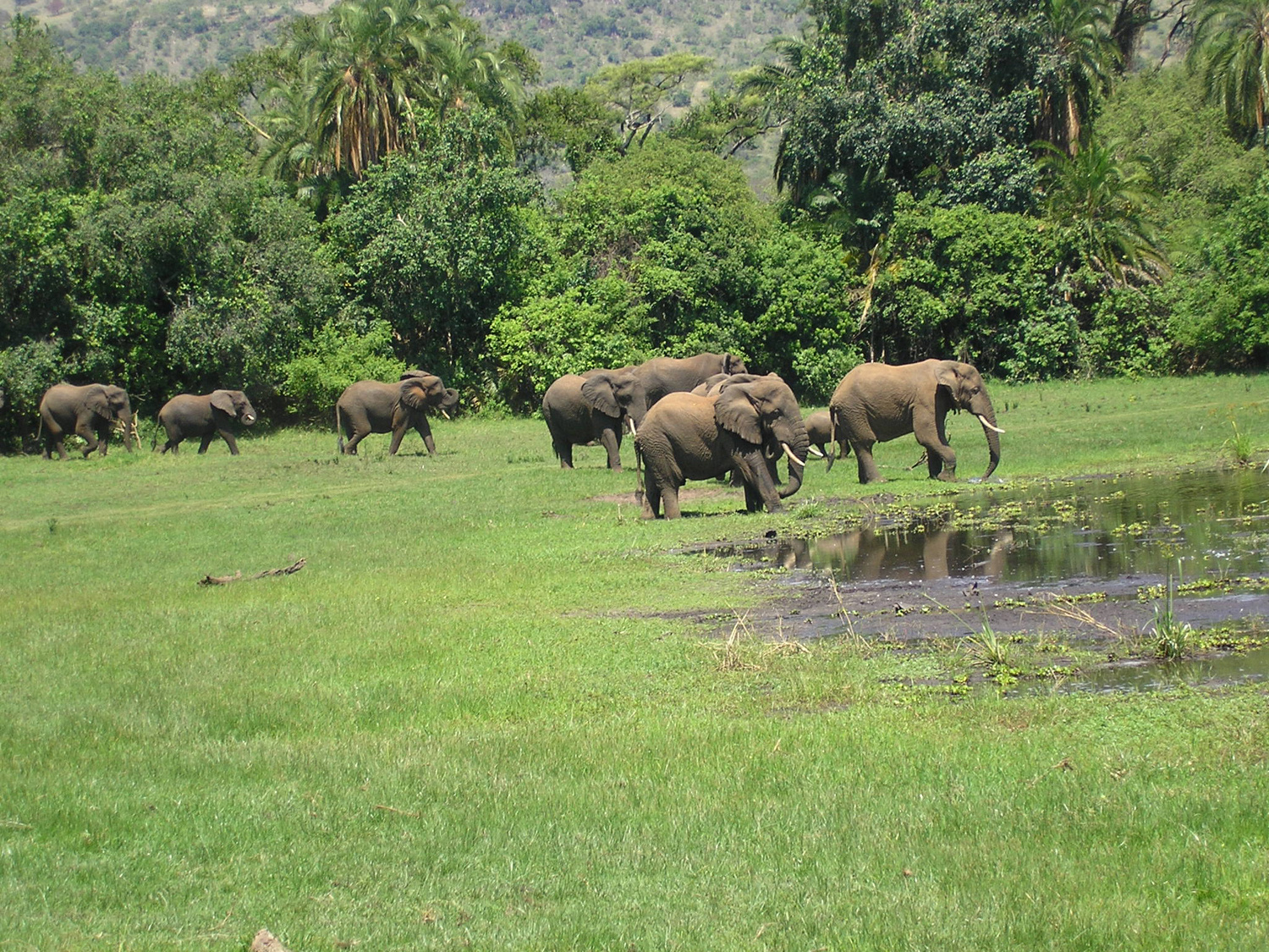 Rangers on patrol in Akagera National Park, where elephants roam the restored savannah