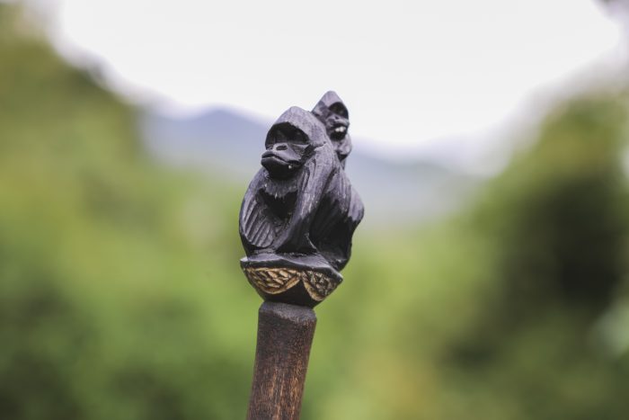 Gorilla Trekking Rules: The Complete Guide to Staying Safe and Ethical