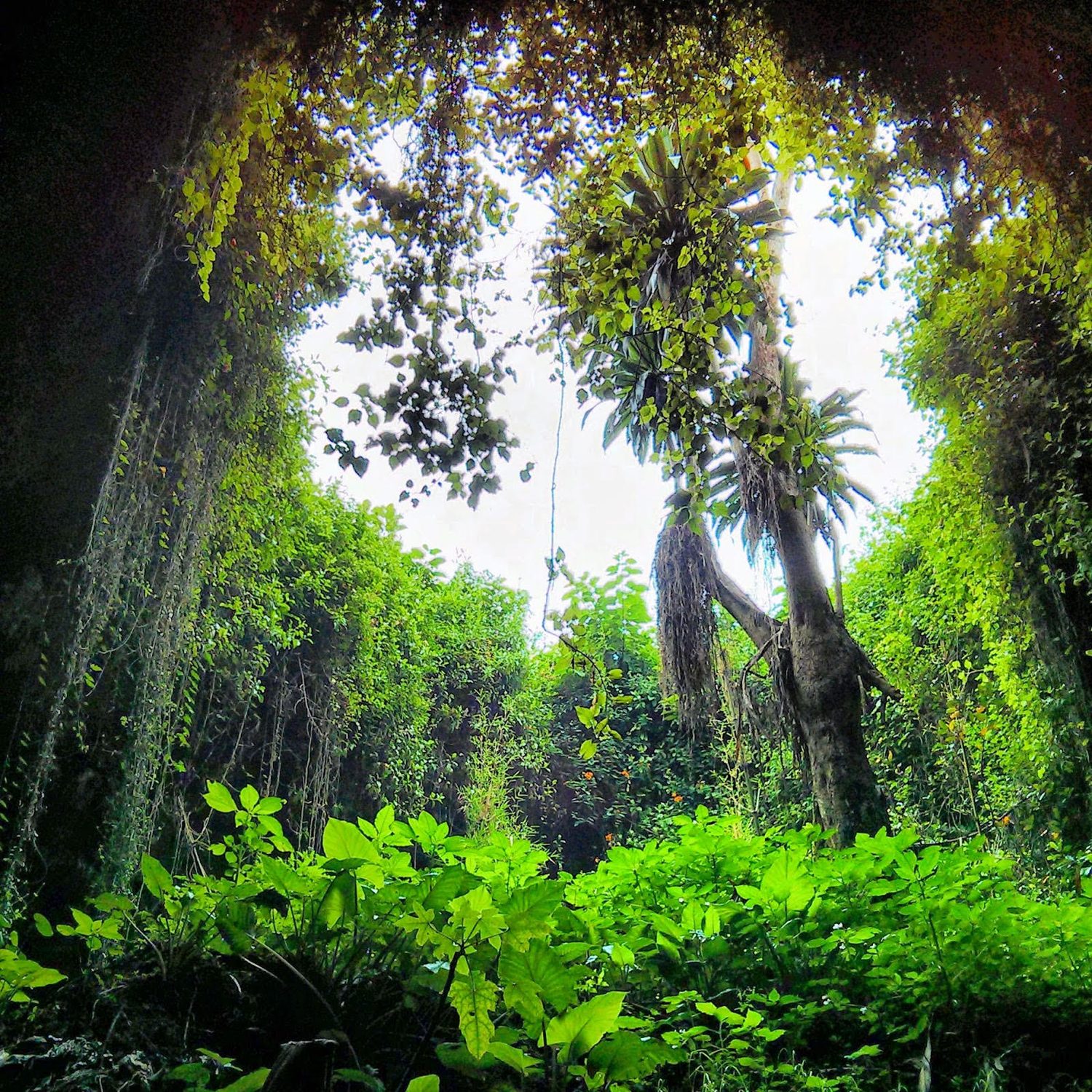 Inside the dark chambers of the Musanze Caves