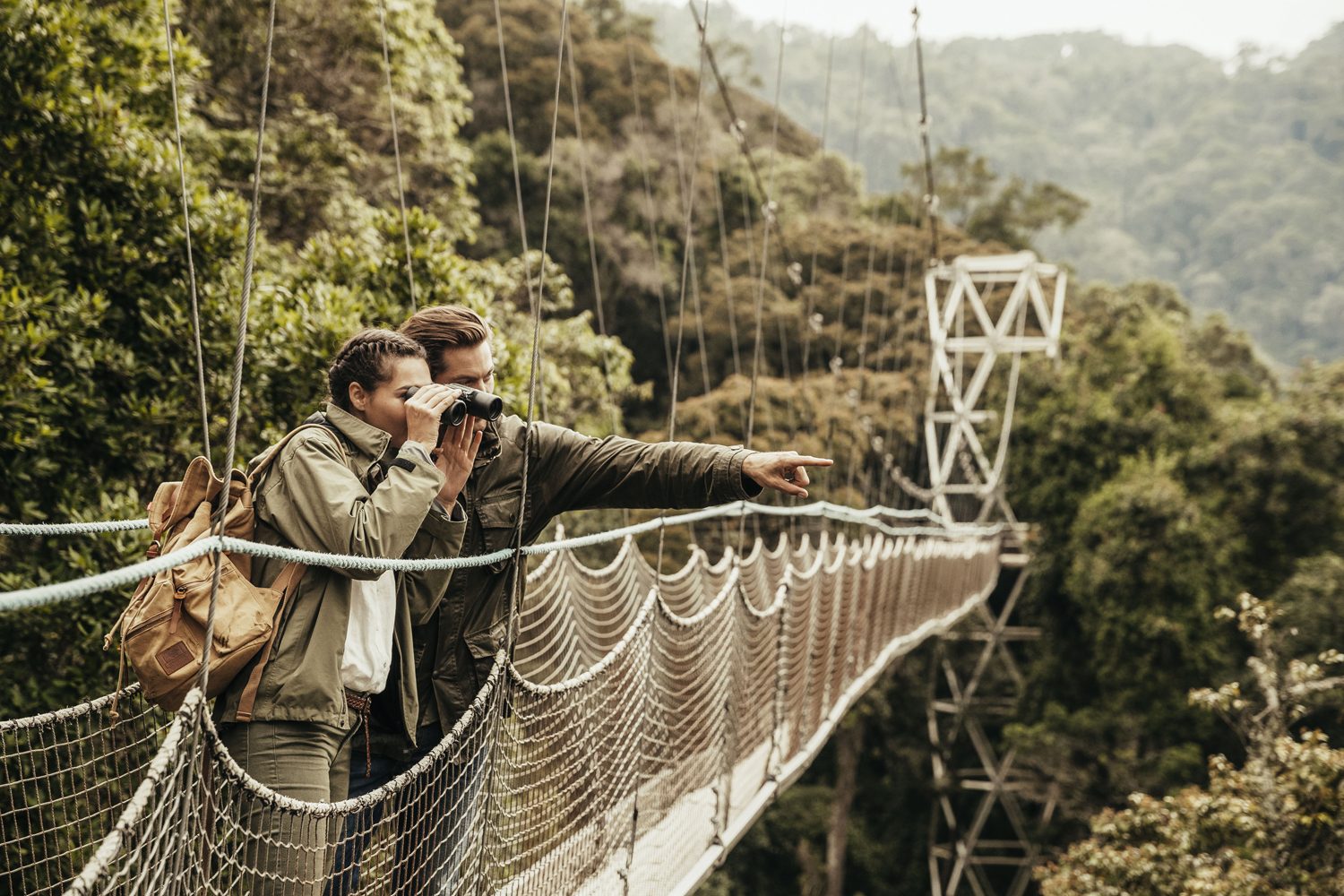 A view from the high deck of the Nyungwe canopy walkway