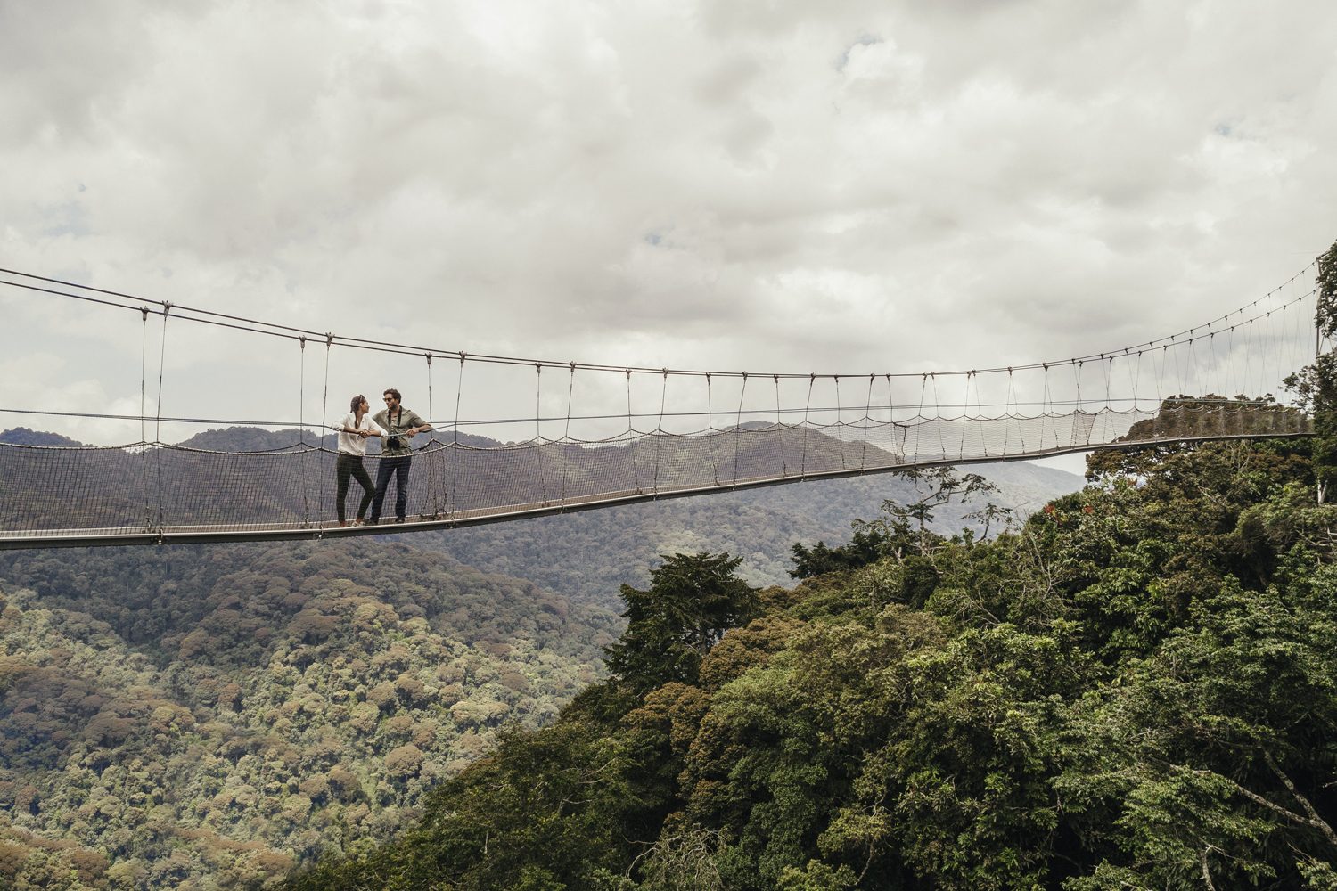 Aerial view of the misty rainforest canopy of Nyungwe National Park