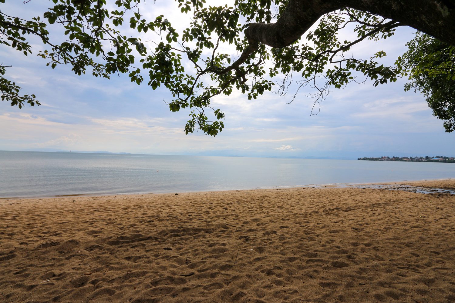 A calm lakeside shore in the highlands of northern Rwanda